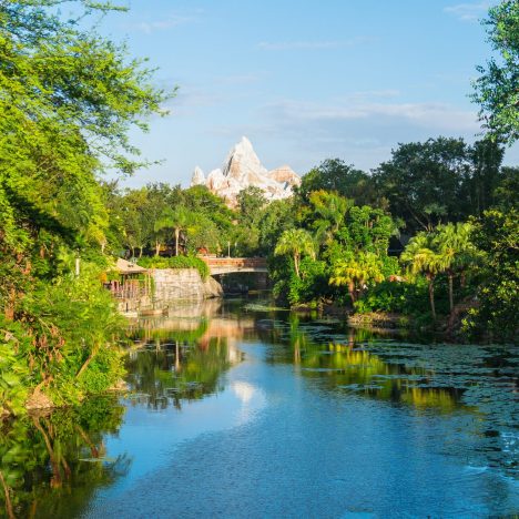 Magic Kingdom part 1