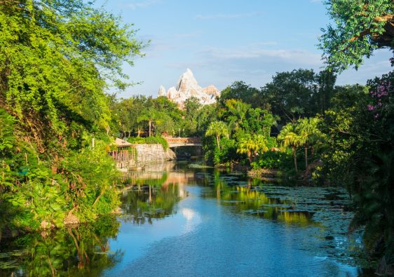 River at Disney’s Animal Kingdom with Expedition Everest in the background