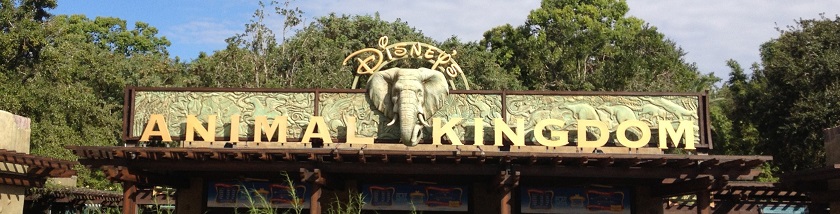 Entrance to Animal Kingdom