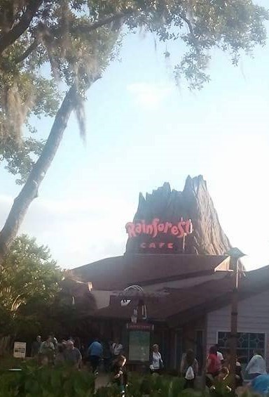 Rainforest Cafe at Disney Springs
