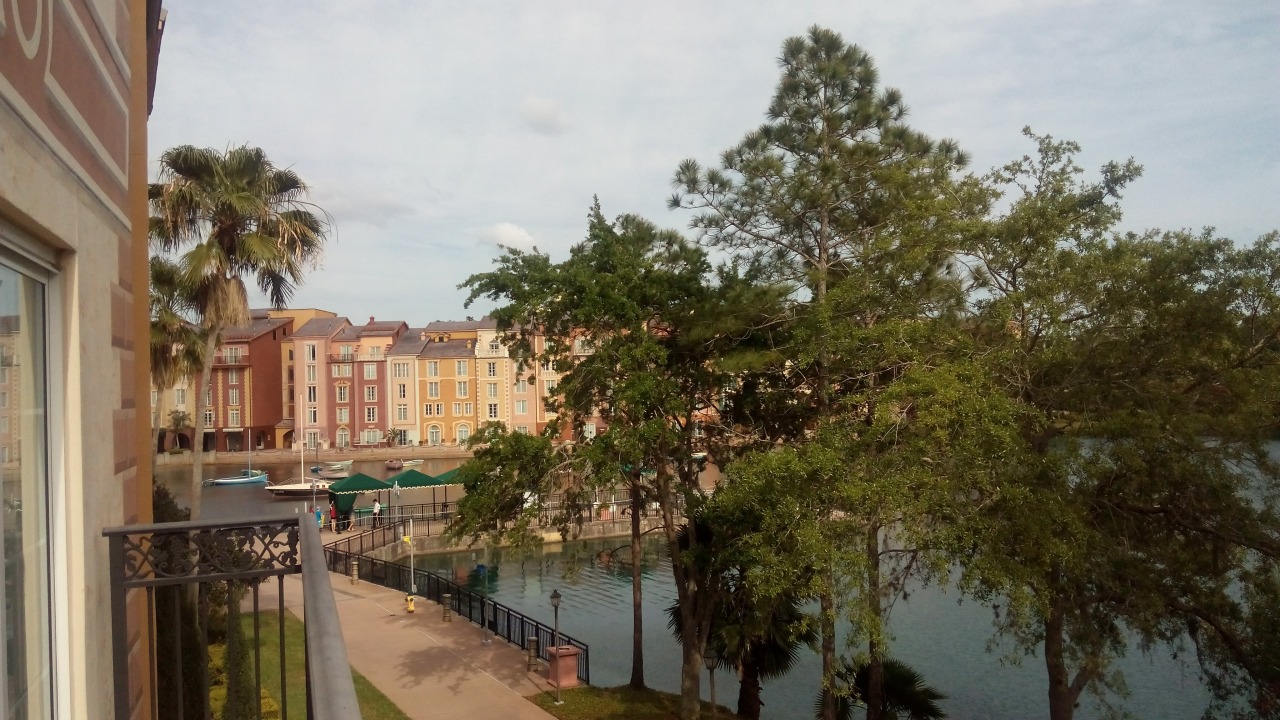 View from my room