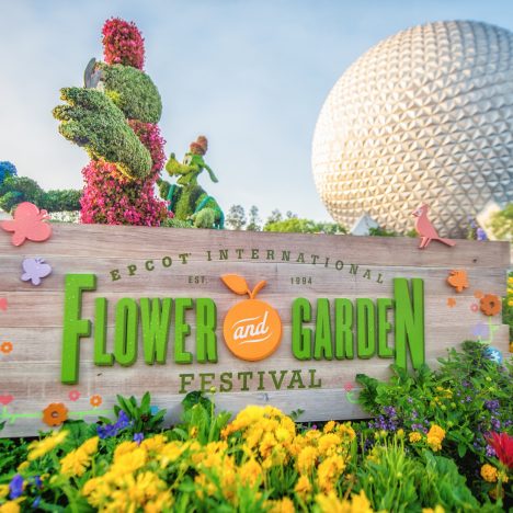 Disney Springs and Rainforest Cafe