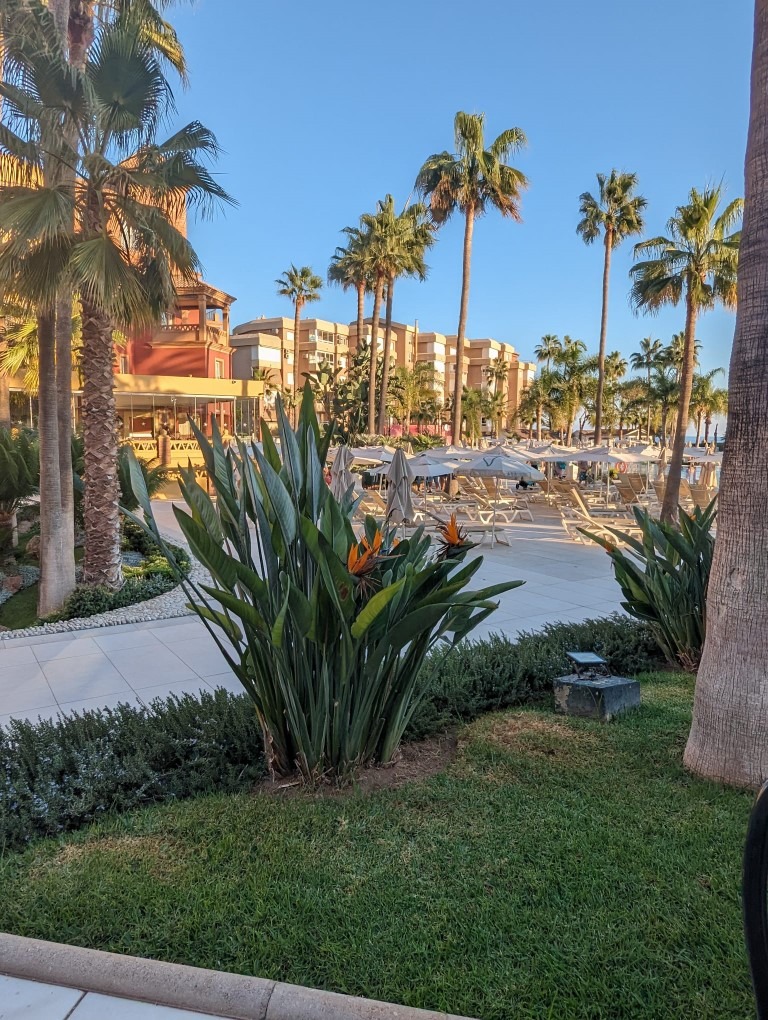 Beach and pool view