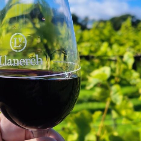 Anthem of the Seas Review: As Good As They Say?