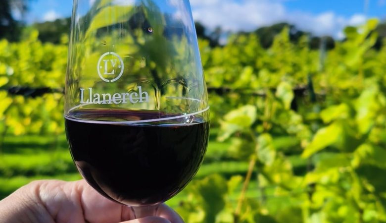 Llanerch Vineayrd wine glass