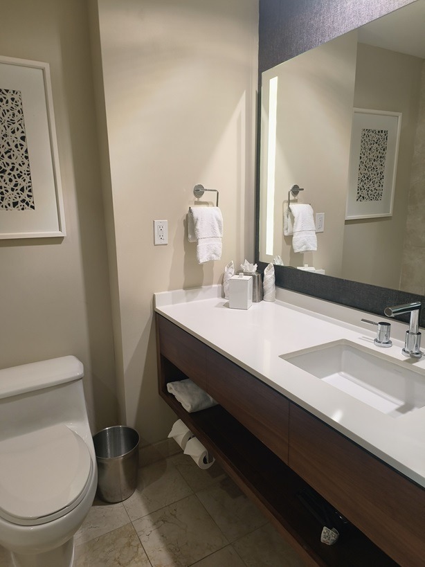 intercontinental miami doral bathroom